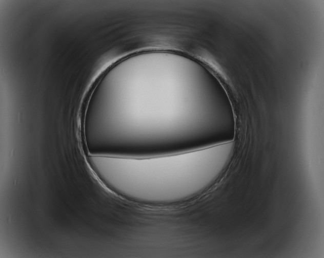X0000086721468200704130719
