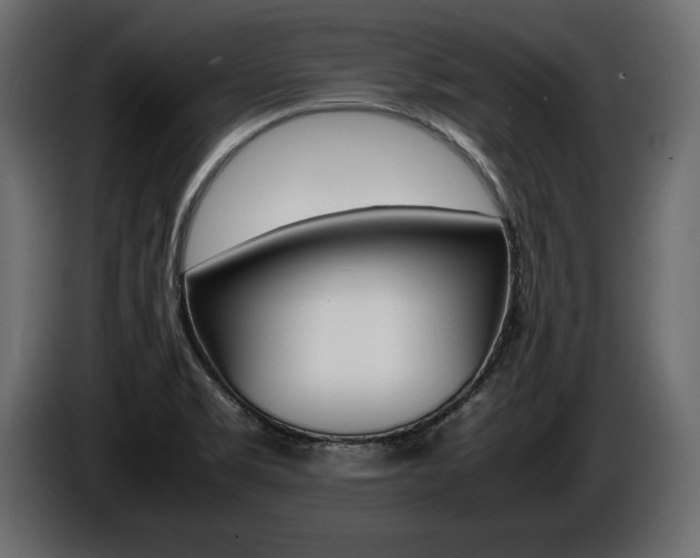 X0000086721469200704130719