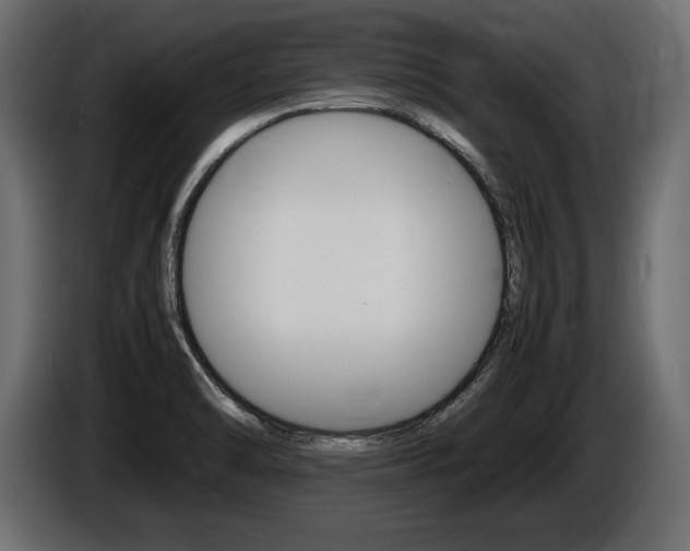 X0000086721470200704130719