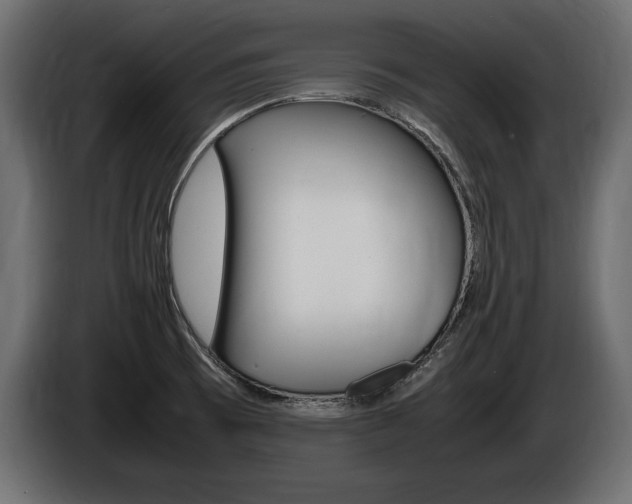 X0000086721473200704130719