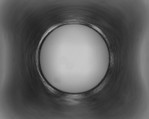 X0000086721474200704130719