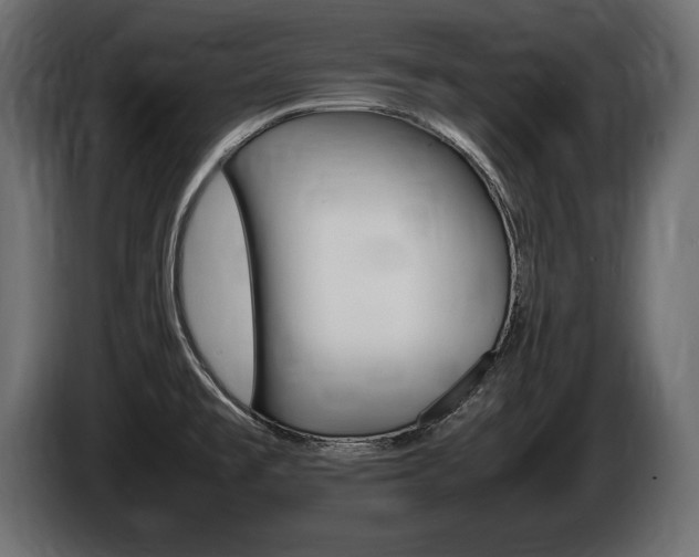 X0000086721477200704130719