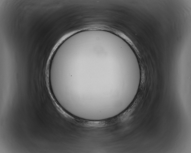 X0000086721478200704130719
