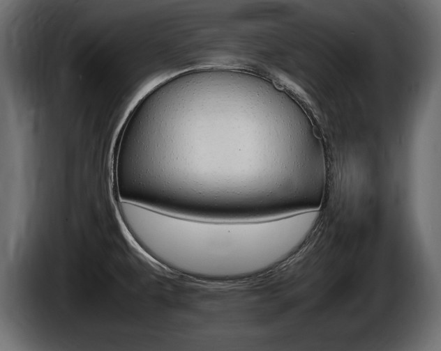 X0000086721479200704130719