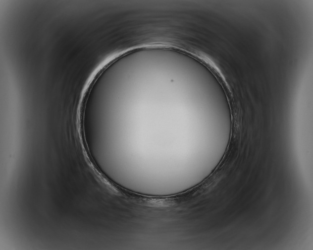 X0000086721480200704130719
