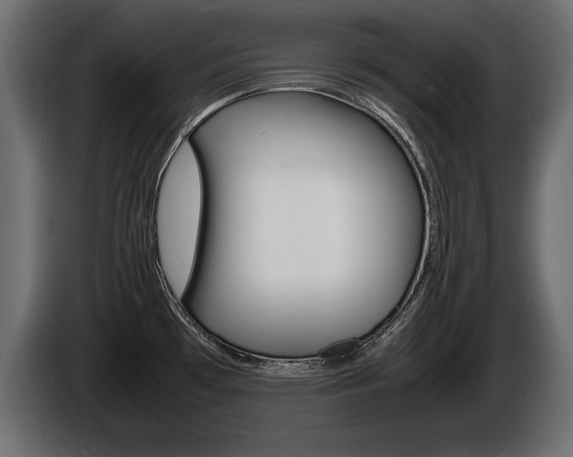 X0000086721481200704130719