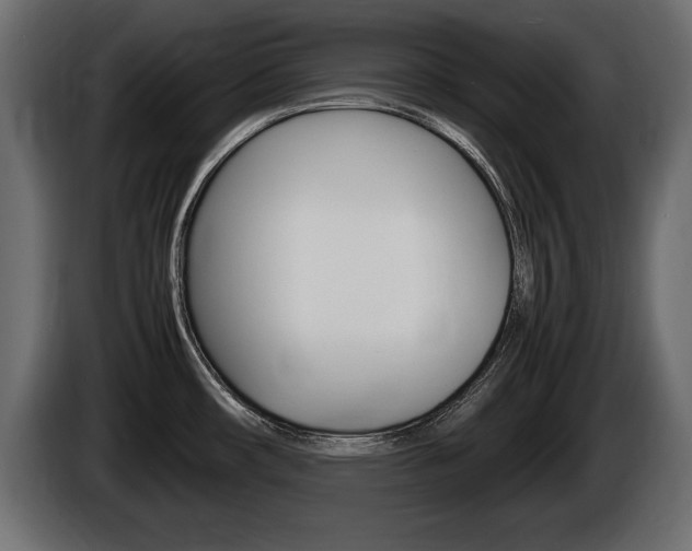 X0000086721482200704130719