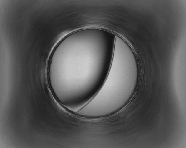 X0000086721484200704130719