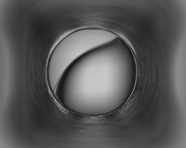 X0000086721485200704130719