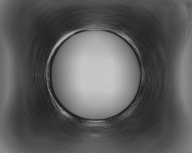 X0000086721486200704130719