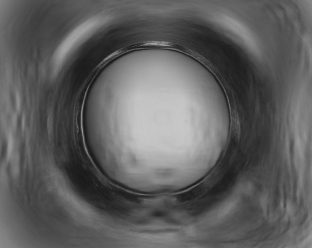 X0000086721487200704130719