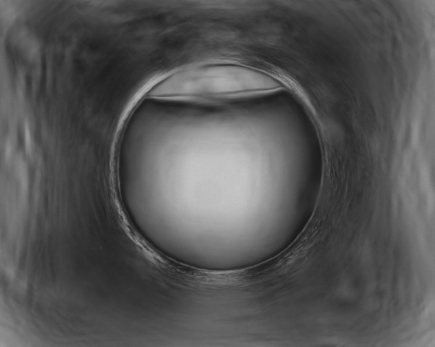 X0000086721488200704130718