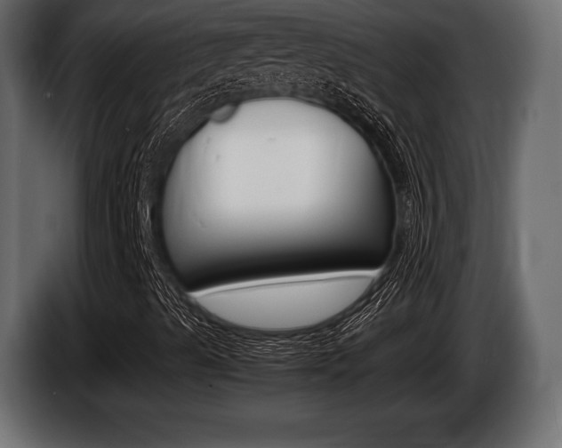 X0000086721489200704130718