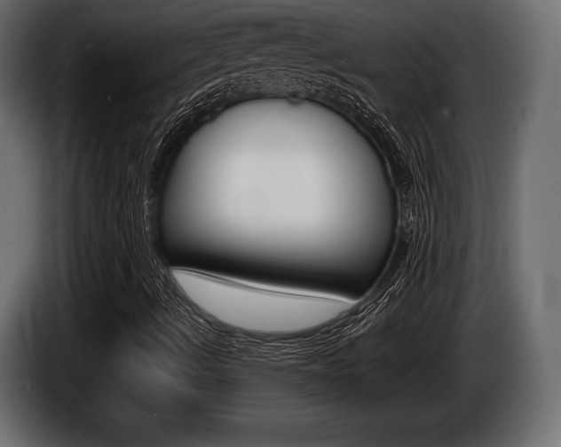 X0000086721490200704130718