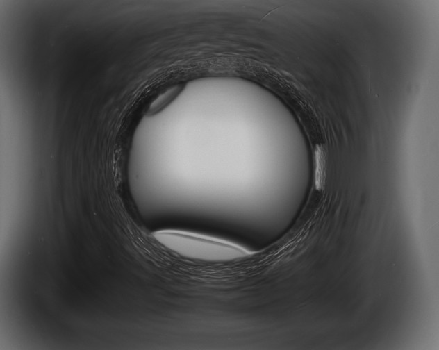 X0000086721491200704130718