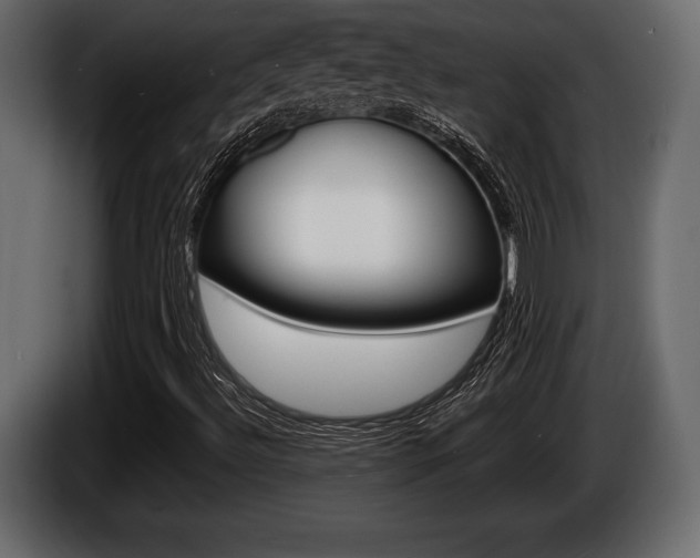 X0000086721492200704130718