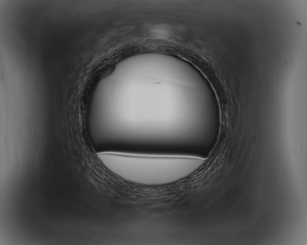 X0000086721493200704130718