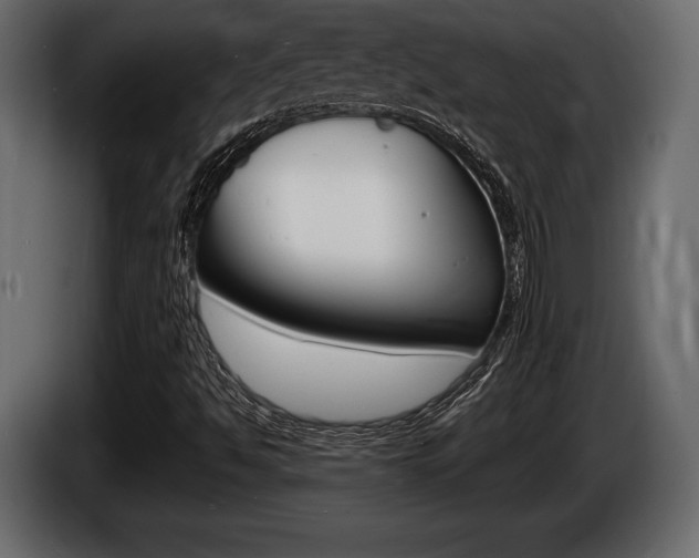 X0000086721494200704130718