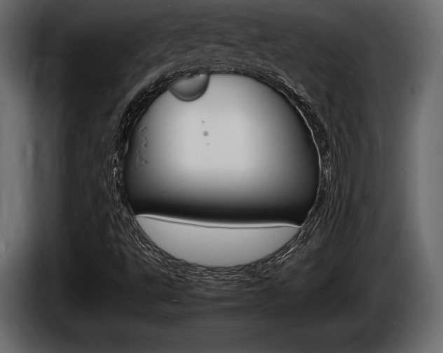 X0000086721495200704130718
