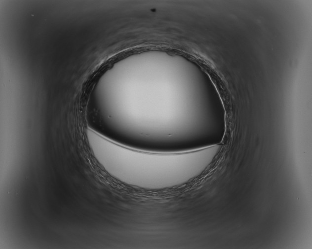 X0000086721496200704130718