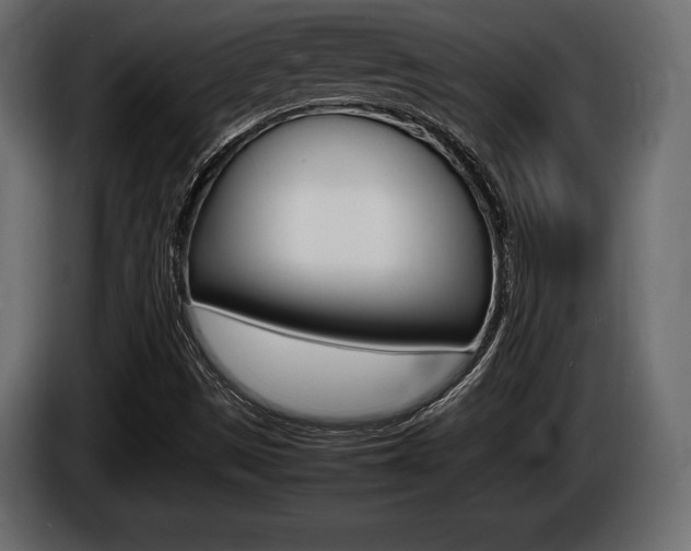 X0000086721497200704130718