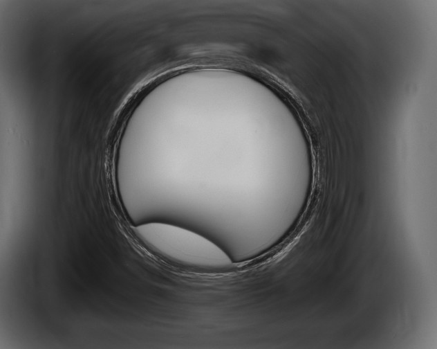 X0000086721498200704130718