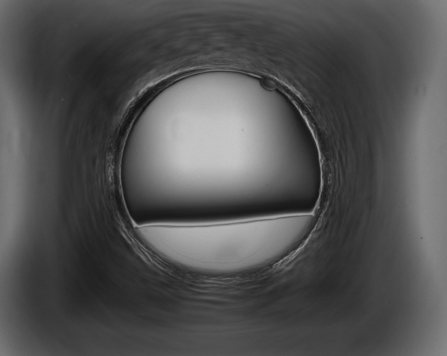 X0000086721499200704130718