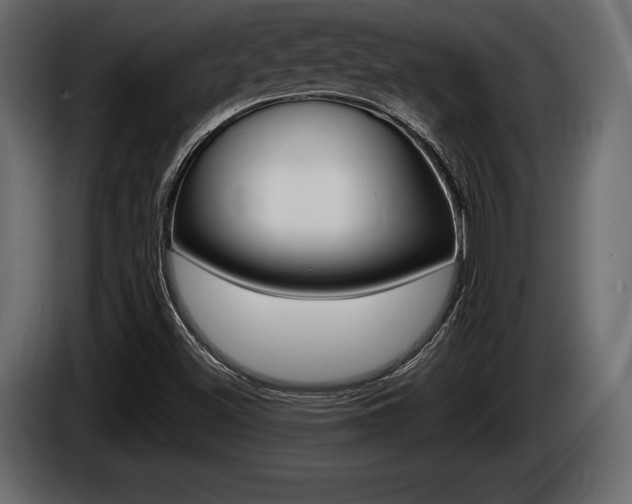 X0000086721500200704130718