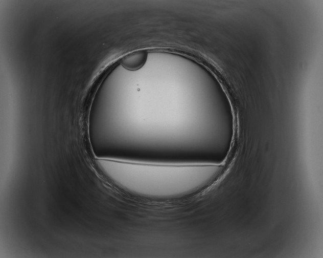 X0000086721501200704130718