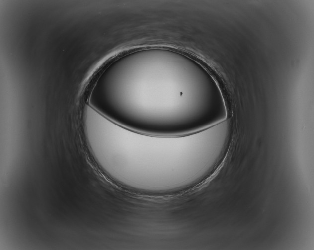 X0000086721502200704130718
