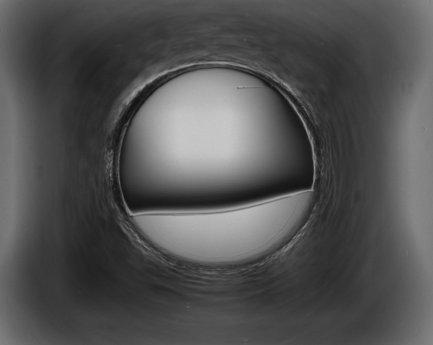 X0000086721503200704130718