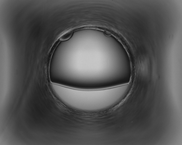 X0000086721505200704130718