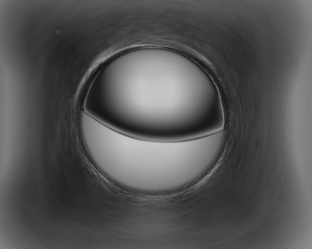 X0000086721506200704130718