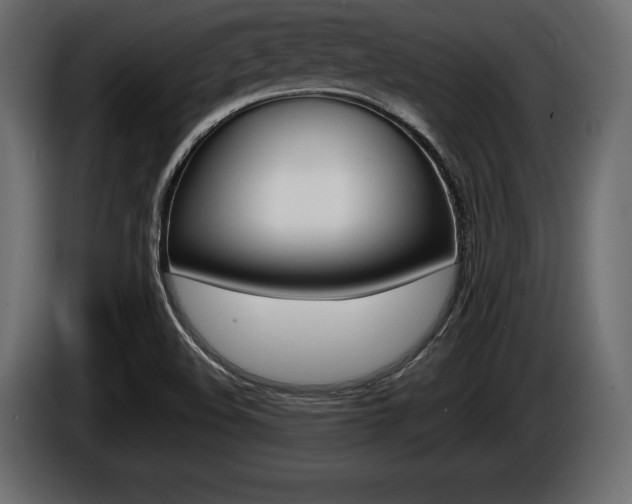 X0000086721508200704130718