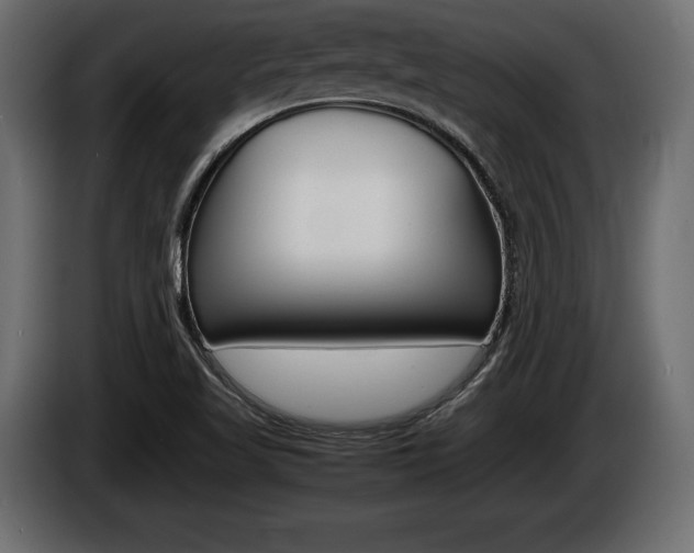 X0000086721509200704130718