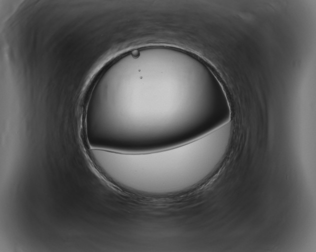 X0000086721511200704130718