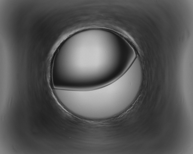 X0000086721512200704130718