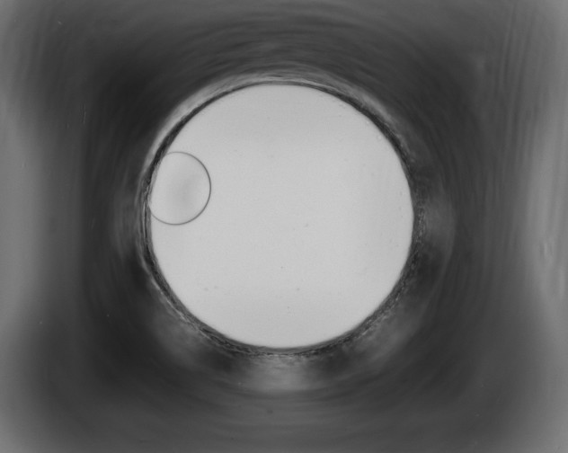 X0000086721514200704130718