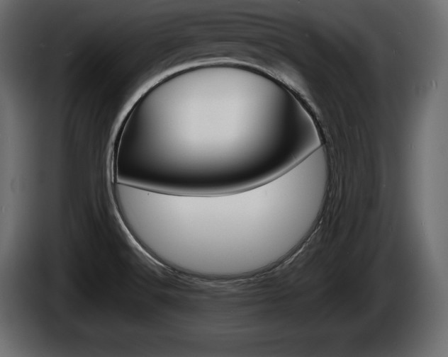 X0000086721516200704130718