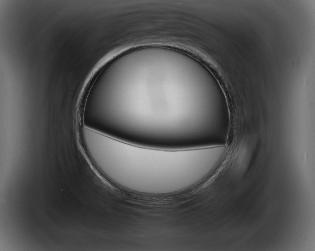 X0000086721517200704130718