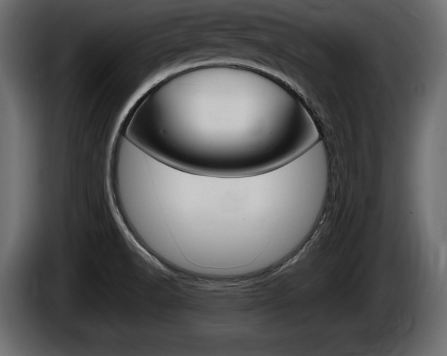 X0000086721518200704130718
