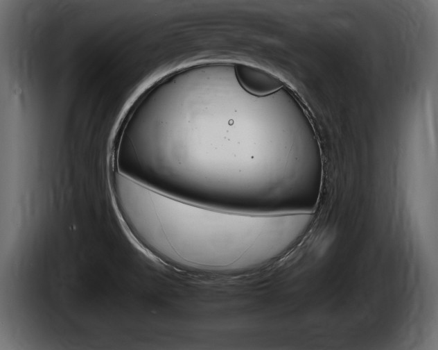 X0000086721519200704130718