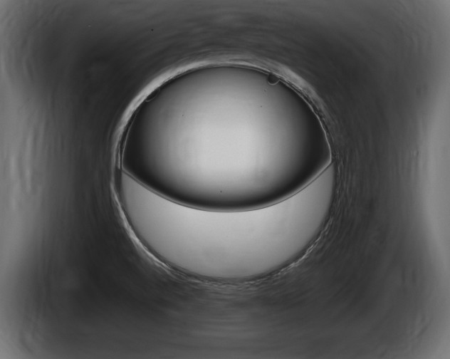 X0000086721520200704130718