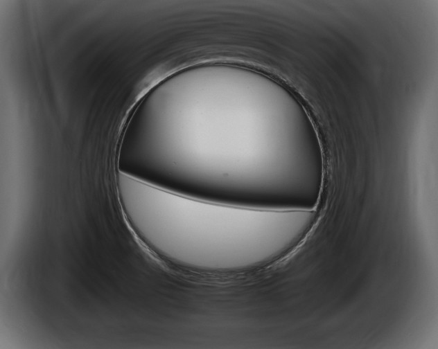 X0000086721521200704130718