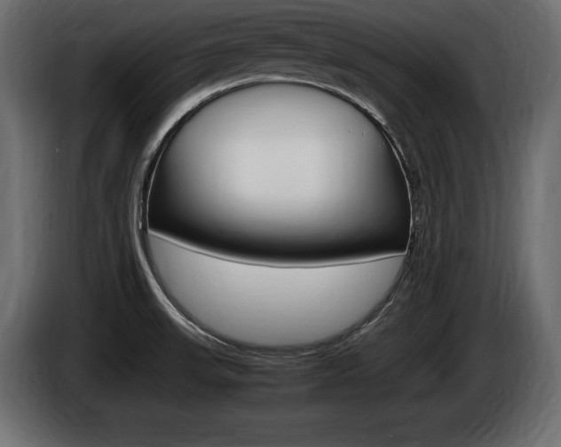 X0000086721523200704130718