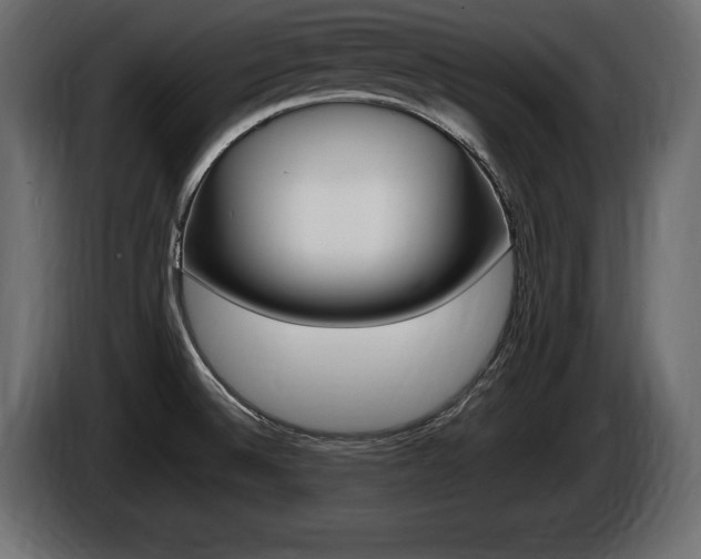 X0000086721524200704130718