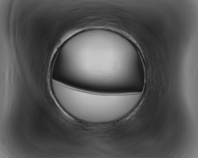 X0000086721525200704130718