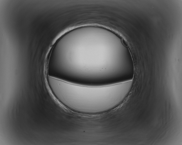 X0000086721526200704130718