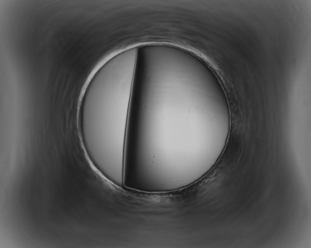 X0000086721527200704130718