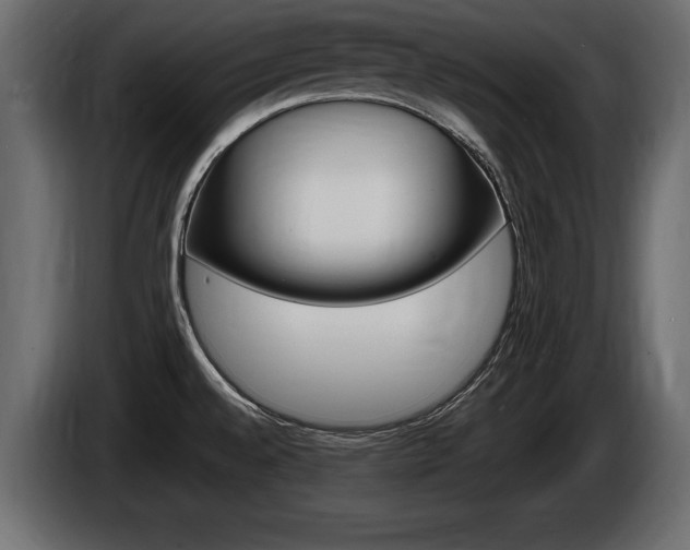 X0000086721528200704130718